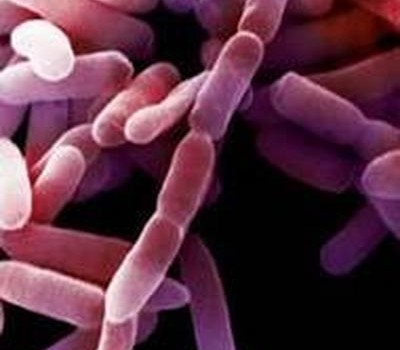 Come curare klebsiella spp